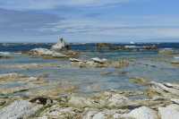 099 Péninsule de Kaikura