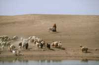 748 Berger à l'est d'Hatra