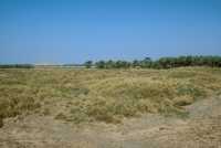 306 Babylone Sud de la ville