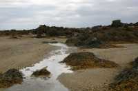 120 Nord de la grande grève