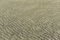 32 Plage de Morsalines (Pattern)