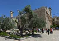 14 Tombeau des patriarches