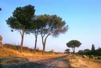 535 Via Appia