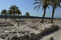 65 Quartier assyrien (732-630)