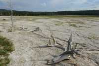 46 Lower Geyser Basin