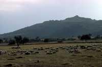 105 Sud de Gordion (est de Sivrihisar)