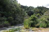 092 Ruisseau à la sortie du lac