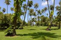 051 Jardin botanique de Motu Ovini