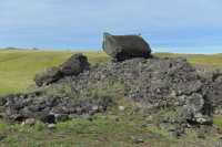 11 Faucon sur Hanga Tetenga