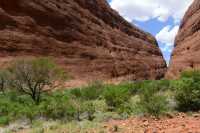56 Walpa Gorge B