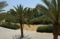 2 Le Jourdain à Qars el Yahoud - Lieu dit du baptême du Christ