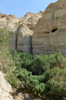 01 En Gedi