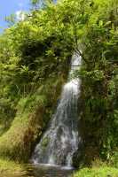 056 Cascade - Haute vallée de la Papenoo