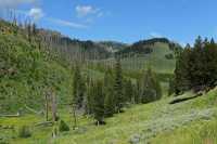 24 Vallée près de l'arbre pétrifié