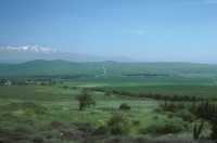 213 Sud du mont Hermon