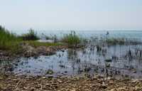 49 Le lac de Tibériade à Tabgha-Dalmanutha
