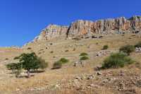 04 Arbel