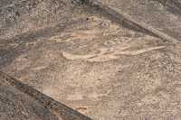 034 Géoglyphe 4 (Condor)