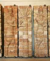 100 - Homme taureaux & Palmier *.jpg