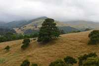 06 Péninsule de Banks