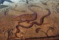 28 Mosaïque - Héron & serpent