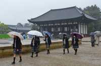 016 Kofuku-ji (Karikon-do)