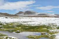 100 Lagune de Parinacota