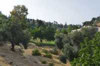 14 Vallée de la Géhenne