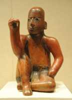 021 Porte étendard - Colima - Mexique (± 1°s)