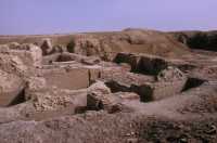 255 Tombes royales de la 1° dynastie d’Ur