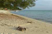 083 Plage & lagon - Matira B