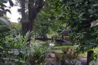 20 Bassin de la reine Pomaré IV