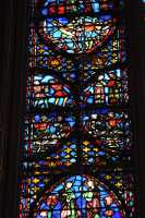 22 Raisins de la Terre Sainte