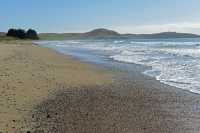 10 Plage au nord de Dunedin