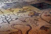 29 Mosaïque - Oiseaux aquatiques