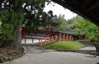111 Kasuga (Temple Shinto)