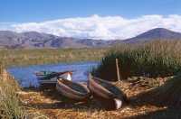 317 Barques de roseaux