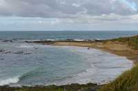 002 Waipapa Point - Lion de mer