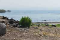 41 Le lac devant le village et l'ancien port de Magdala (Magdala Center