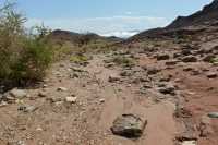 034 Près du champignon