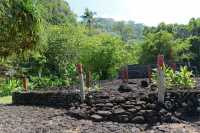 024 Te-Unu (Bois sculptés) - Marae Arahurahu