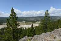 073 Forêt près de Old Faithful
