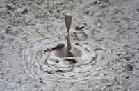 44 Artists Paintpot  (Boue en ébullition)