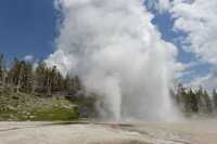 130 Grand Geyser