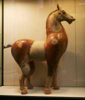 29 - Cheval, Han d Est (25-220)