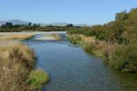 15 Rivière à l'est de Te Anau B