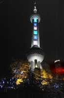 071 Perle dans les arbres