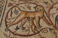 57  Pavement de la synagogue de Gaza