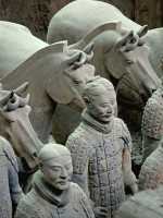 044 Fosse 1 - Chevaux & soldats *