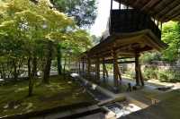 100 Ryoan-ji (Galerie)